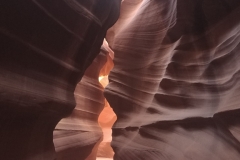 Antelope_017