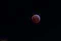 Eclissi_Luna-4687