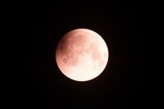 IMG_2052-2