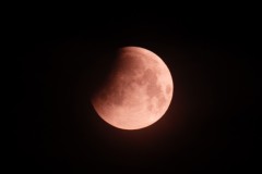 IMG_2064-2
