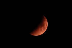 IMG_2076-2