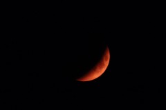 IMG_2084-2