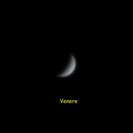 n13_Venere-2021-11-24
